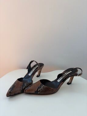 Acne Studios Snake-Print Pointed Slingback Pumps in Brown and Black